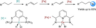 Scheme 18