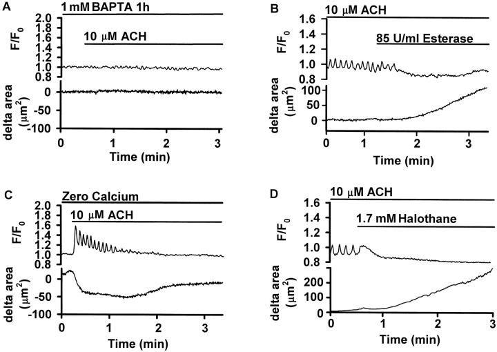 Figure 10. 