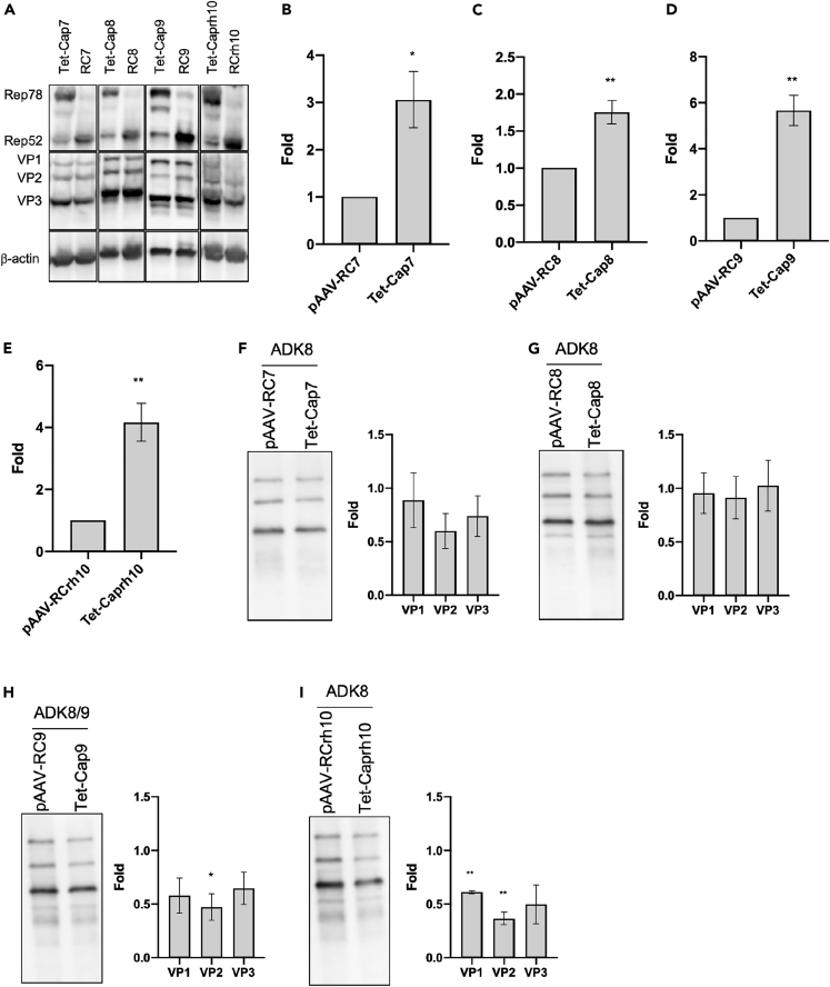 Figure 4