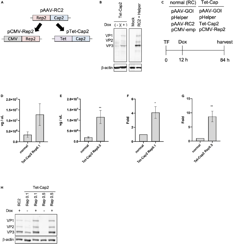 Figure 2