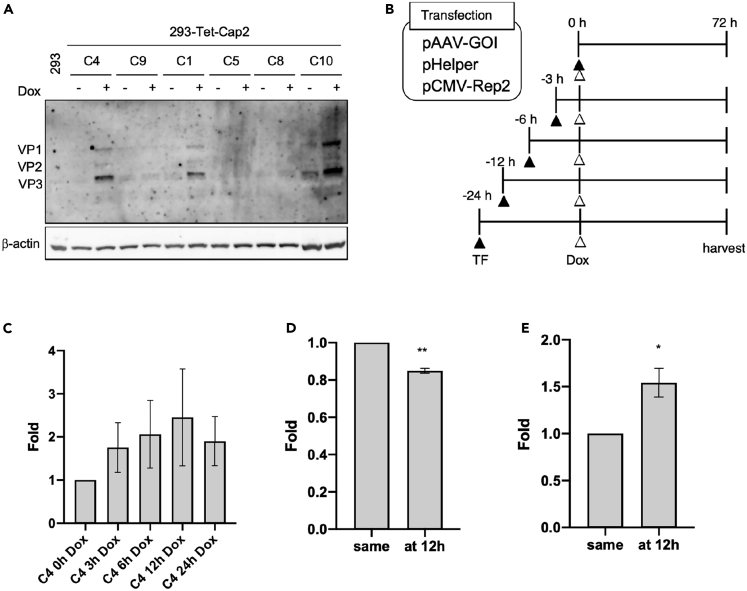 Figure 7