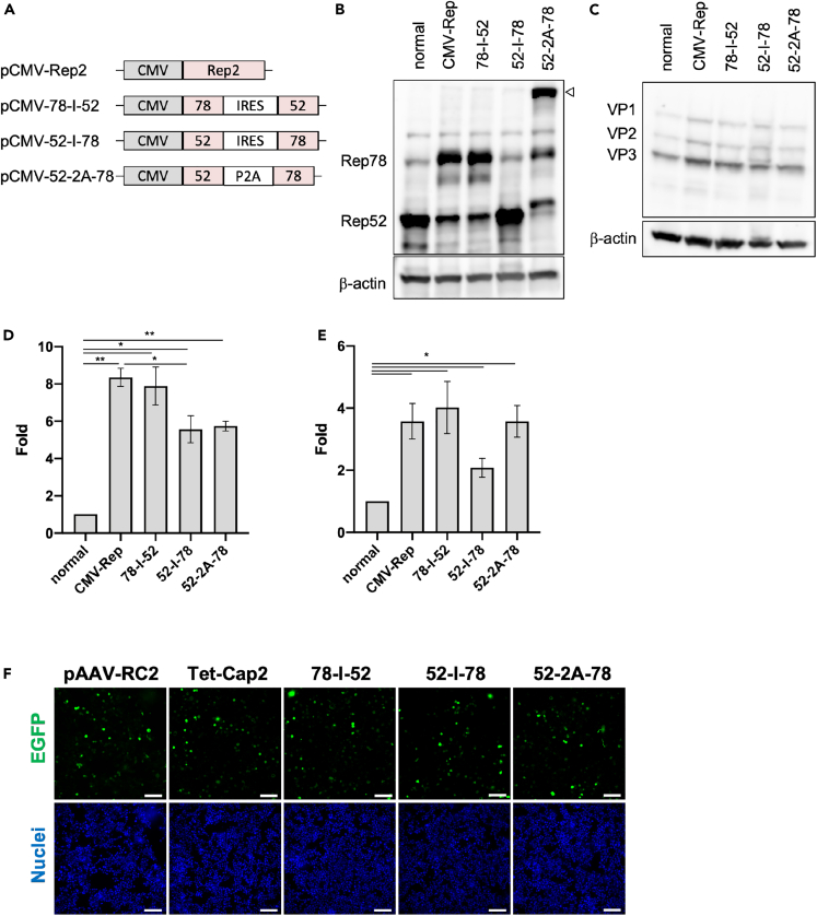 Figure 6