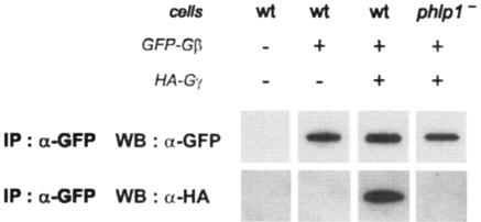 FIG. 5.