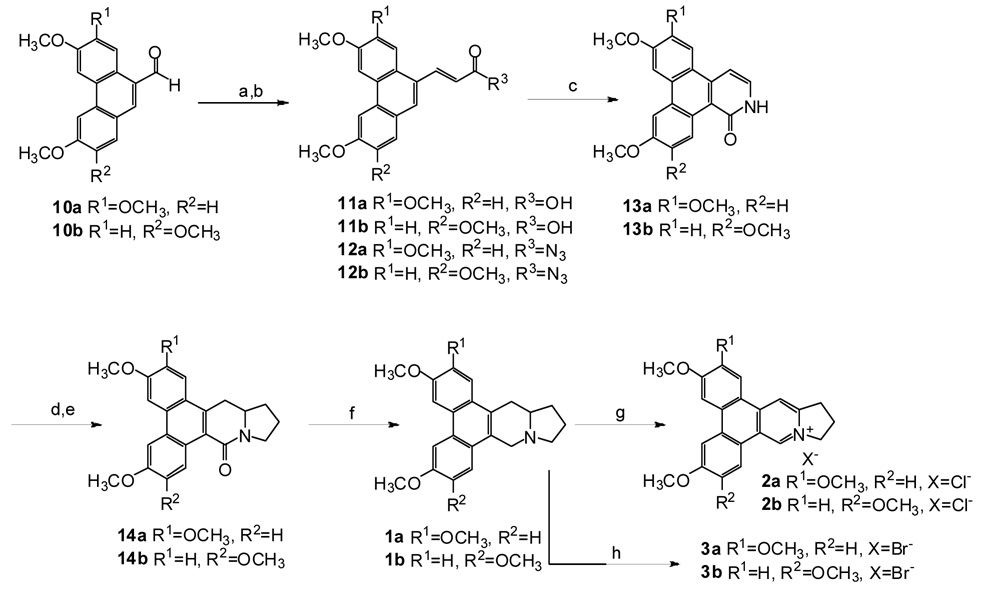 Scheme 2