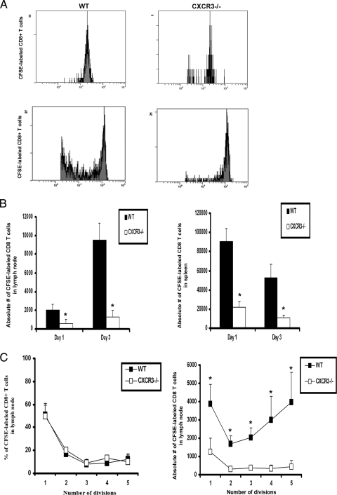 FIG. 10.