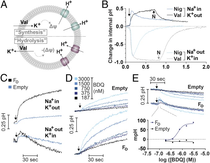 Fig. 4.