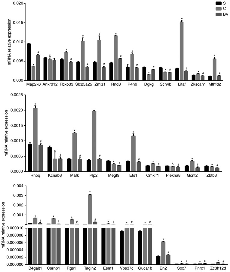 Figure 6