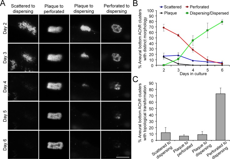 Figure 1—figure supplement 1.