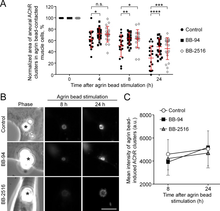 Figure 7—figure supplement 1.