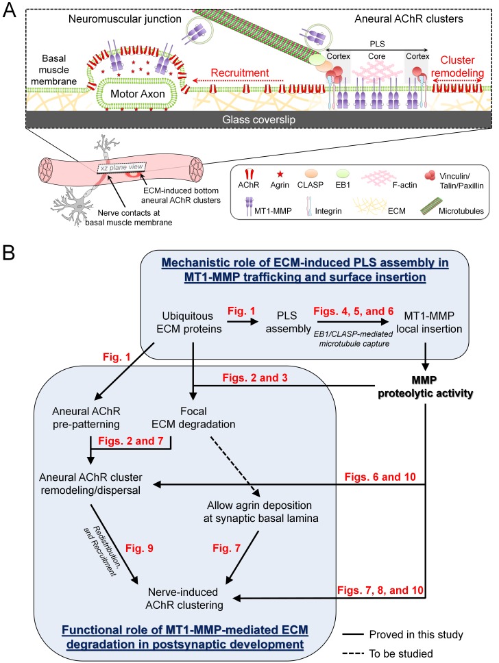 Figure 11.