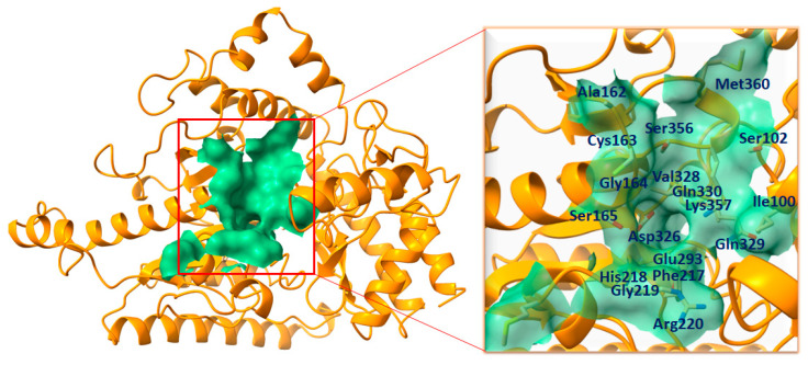 Figure 2