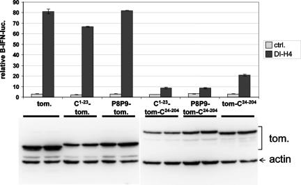 FIG. 4.