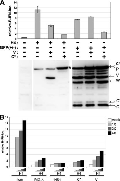 FIG. 3.