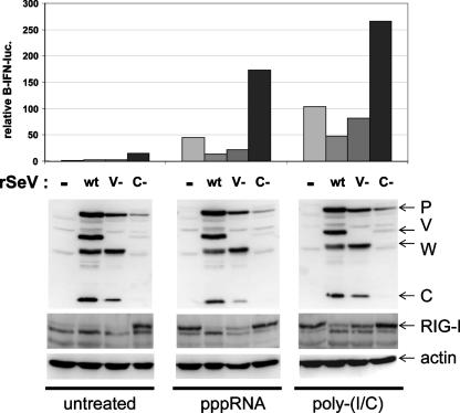 FIG. 6.