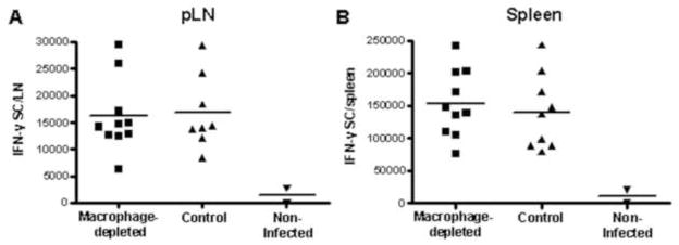 FIG. 6