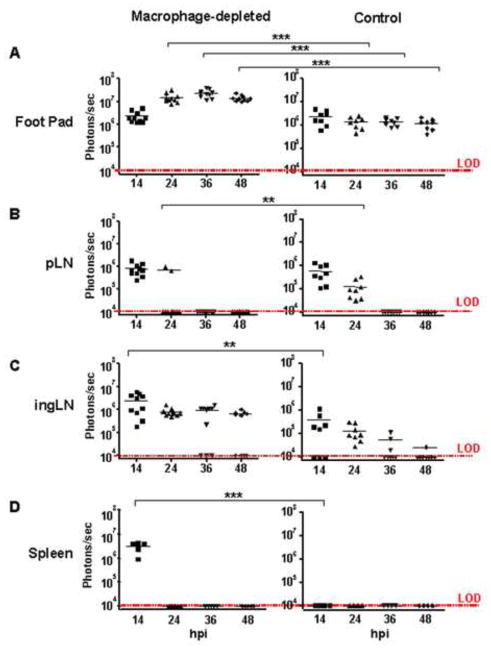 FIG. 3