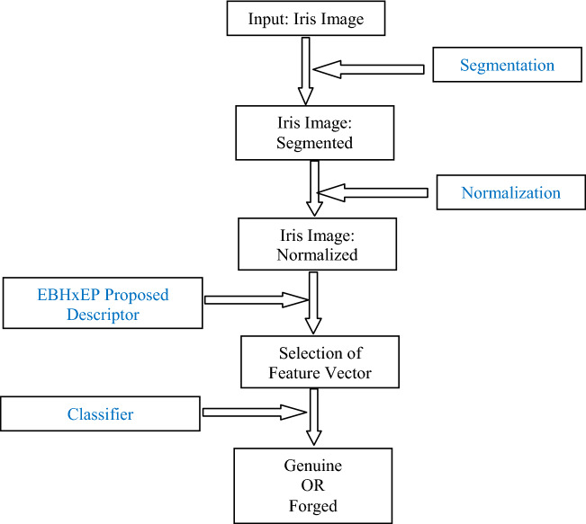 Fig. 3