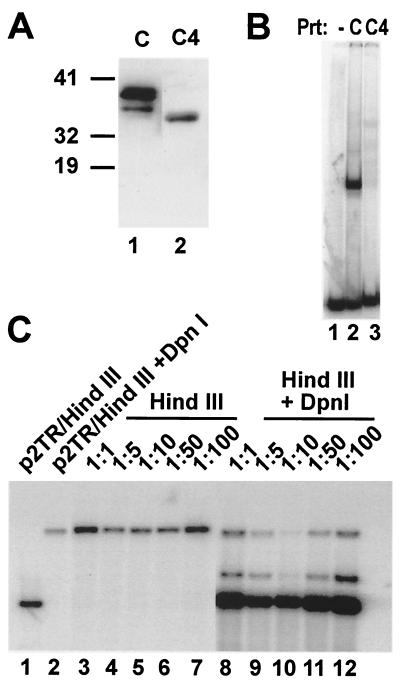 FIG. 5.