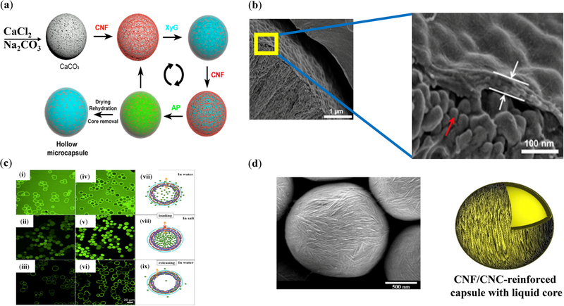 Figure 10.