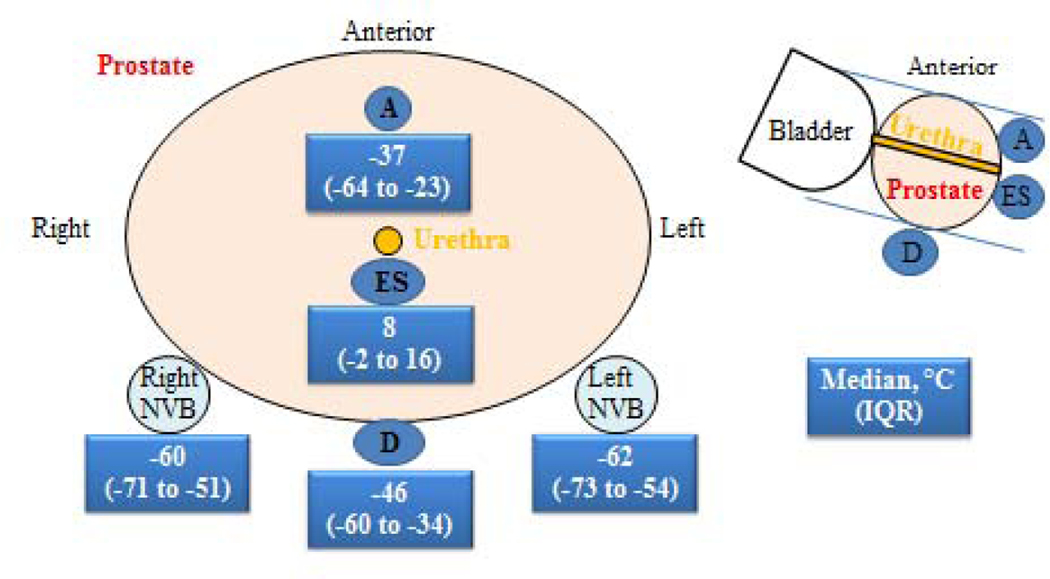 Fig. 1 –