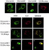 FIG. 6.