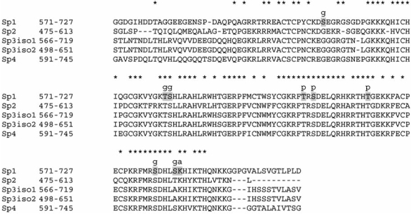 Fig. (1)