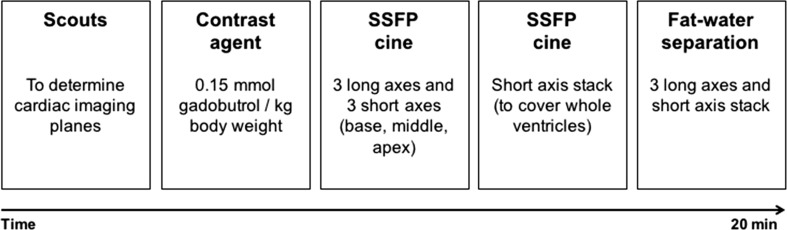 Fig. 6