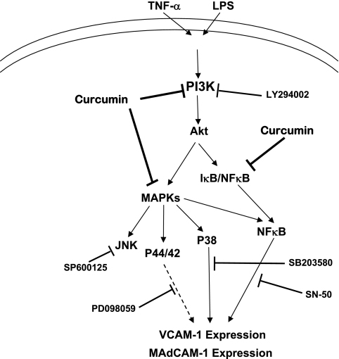 Fig. 9.