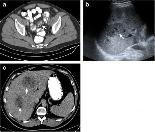 Fig. 5