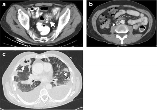 Fig. 7