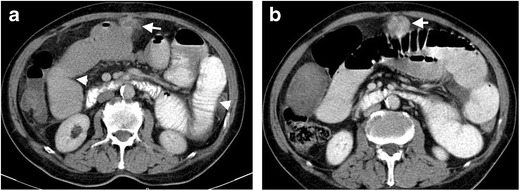 Fig. 8