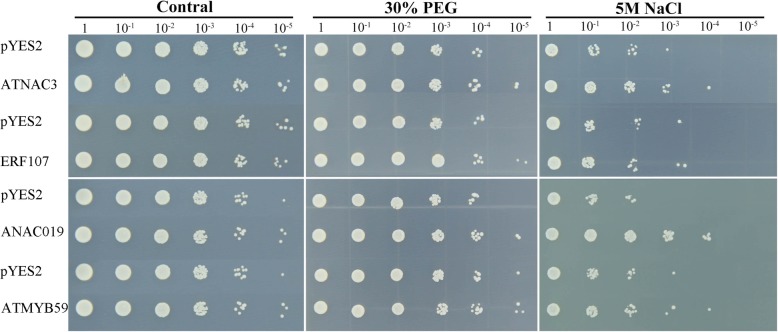 Fig. 11