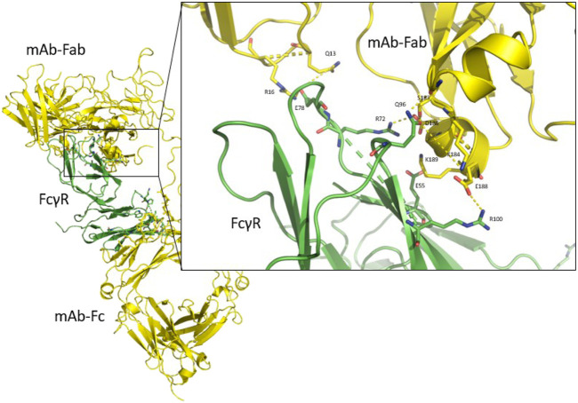 FIGURE 7