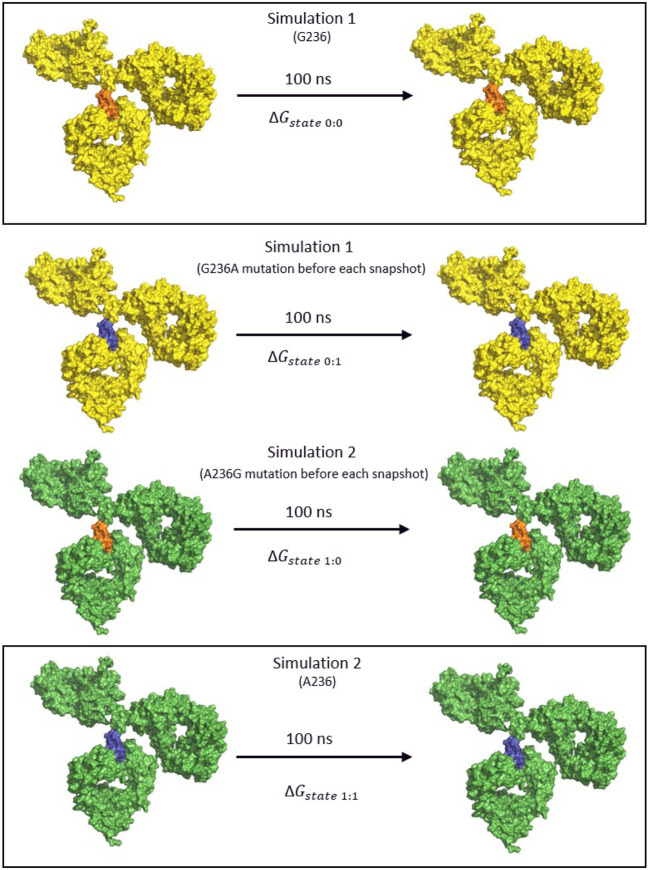 FIGURE 4