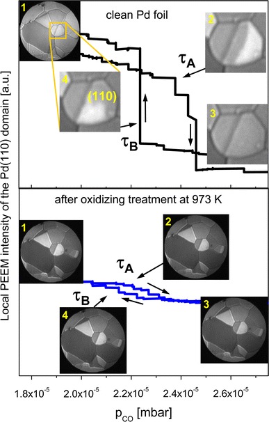 Fig. 3