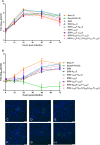 FIG 6