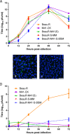 FIG 4