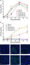 FIG 2