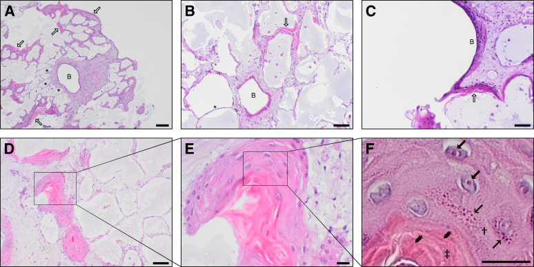 Figure 5