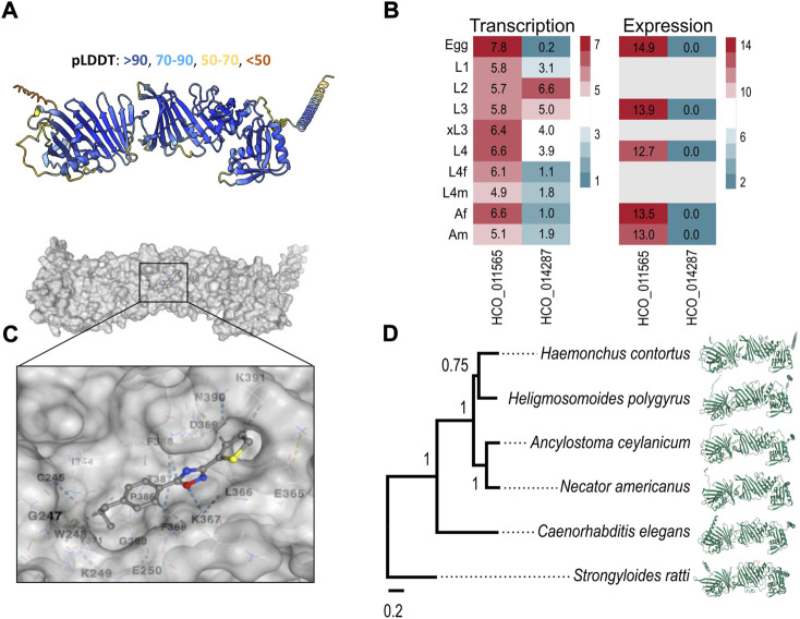 FIGURE 4