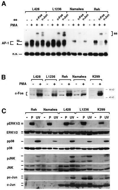 graphic file with name cdf389f3.jpg