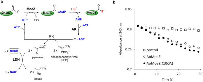 Extended Data Fig. 8