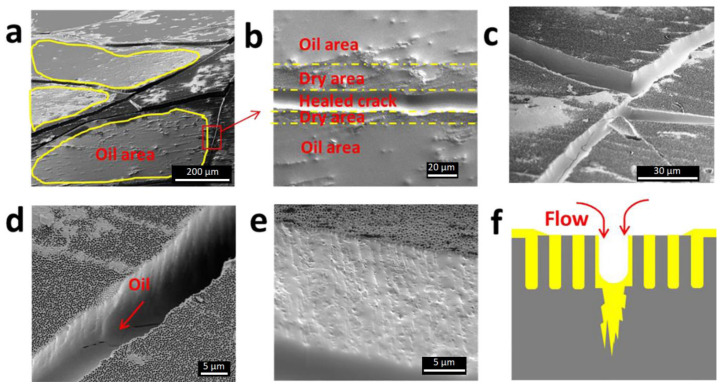 Figure 19