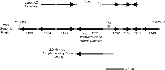 FIG. 2.