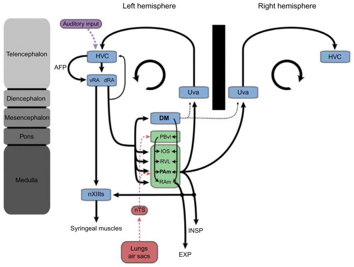 FIGURE 7