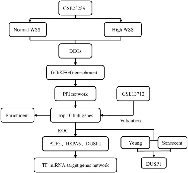 FIGURE 1