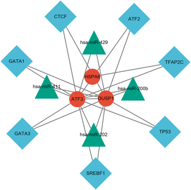 FIGURE 10