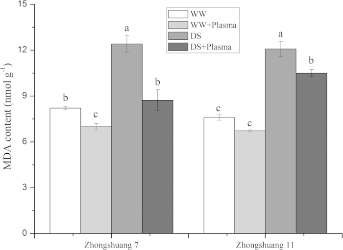 Figure 5