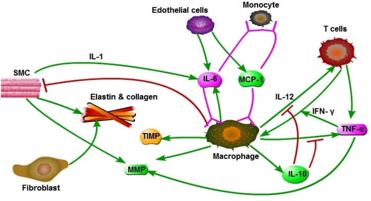 Fig 2