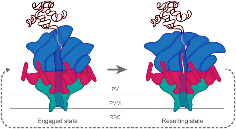 Fig 3